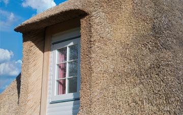 Torroble thatch roof disadvantages