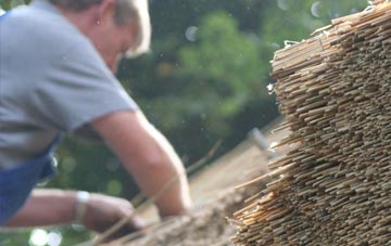 professional Torroble thatchers